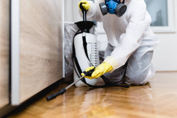 Best Residential Pest Control  in Onarga, IL