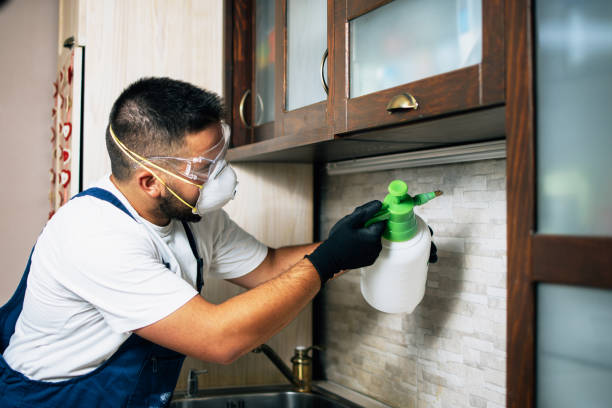 Best Pest Removal Services  in Onarga, IL