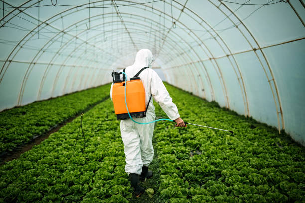 Pest Control for Restaurants in Onarga, IL