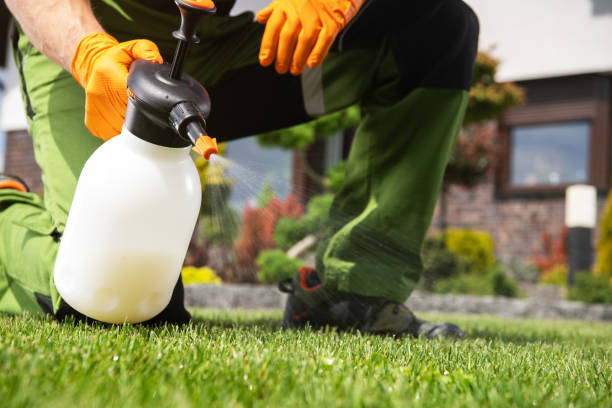 Best Best Pest Control Companies  in Onarga, IL