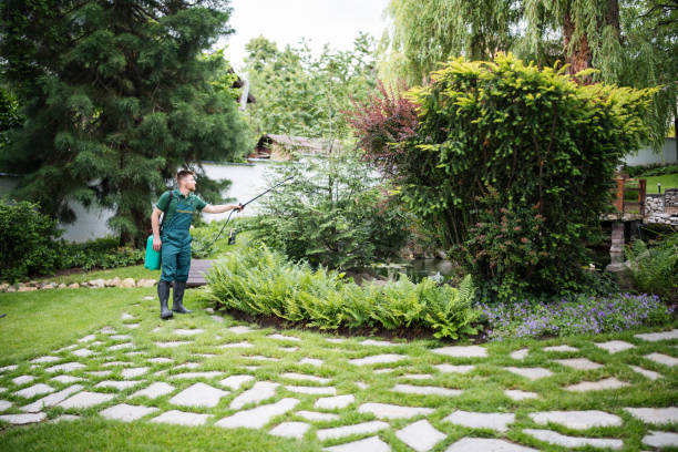 Best Pest Control for Businesses  in Onarga, IL