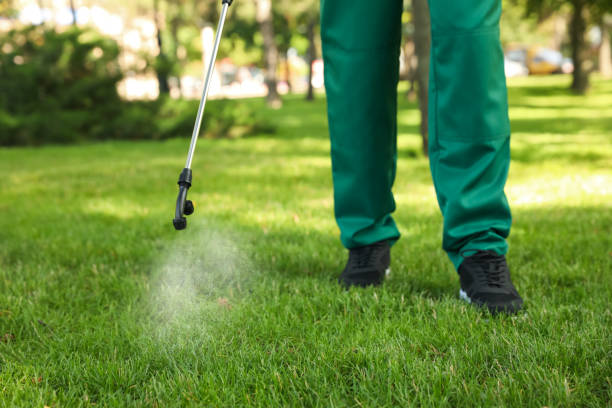 Best Best Pest Control Companies  in Onarga, IL