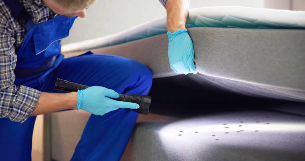 Best Rat Extermination Near Me  in Onarga, IL