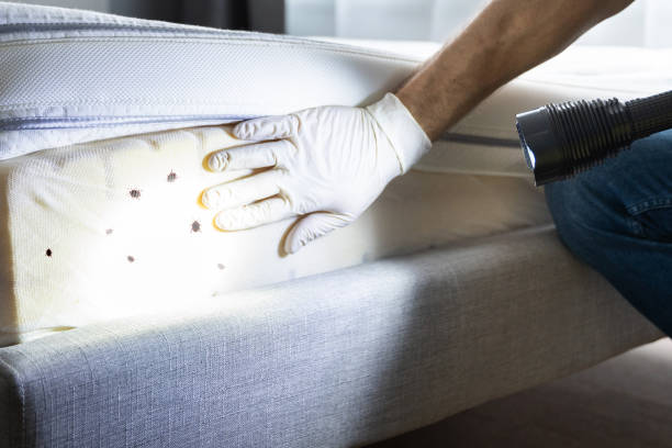 Best Bed Bug Extermination  in Onarga, IL