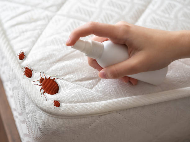 Best Flea Control Services  in Onarga, IL