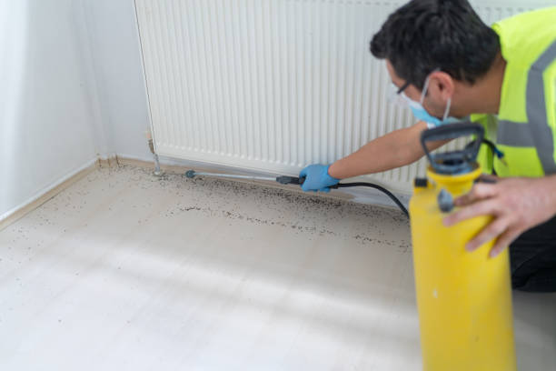 Best Bed Bug Extermination  in Onarga, IL
