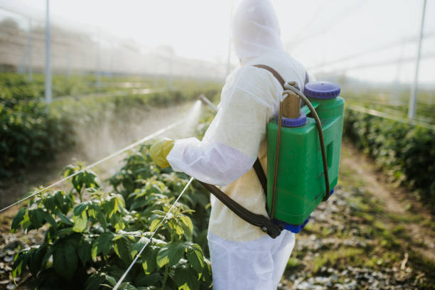 Best Insect Control  in Onarga, IL